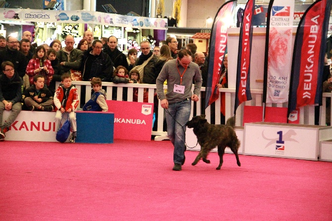 Des Contes Du Vieux Chêne - Salon de l'Agriculture 2015