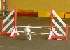  - Agility : 1ere partie de Brevet pour FEELING.