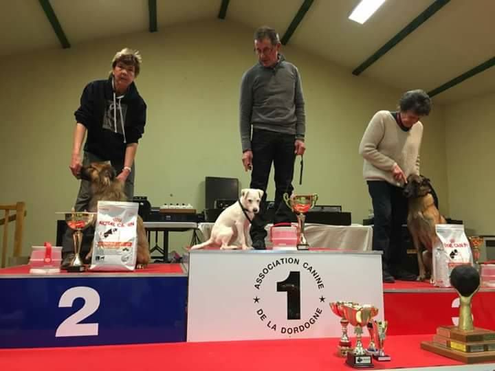 Des Contes Du Vieux Chêne - Davalada vainqueur de la coupe de France de Cavage